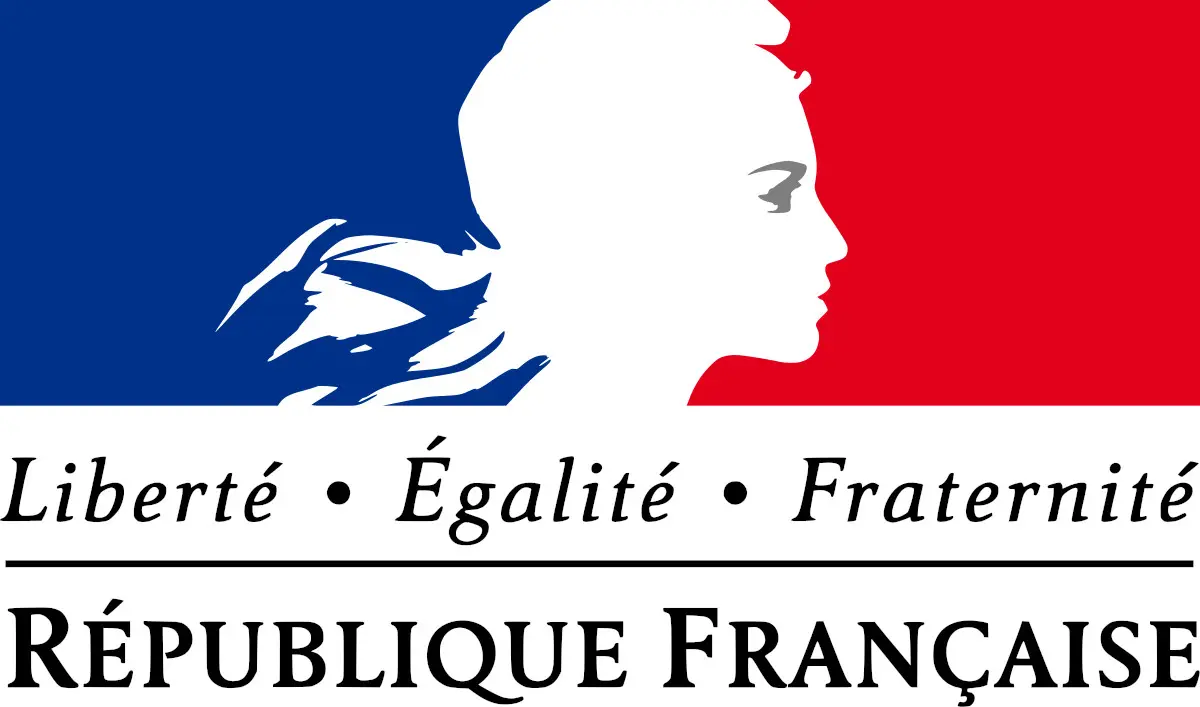 The French VLS-TS Visa Validation and OFII Medical Exam