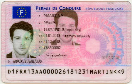 The Great Driver’s License Exchange: Swapping American for French